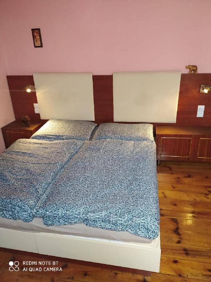 Penzion U Lipy Decin Bagian luar foto