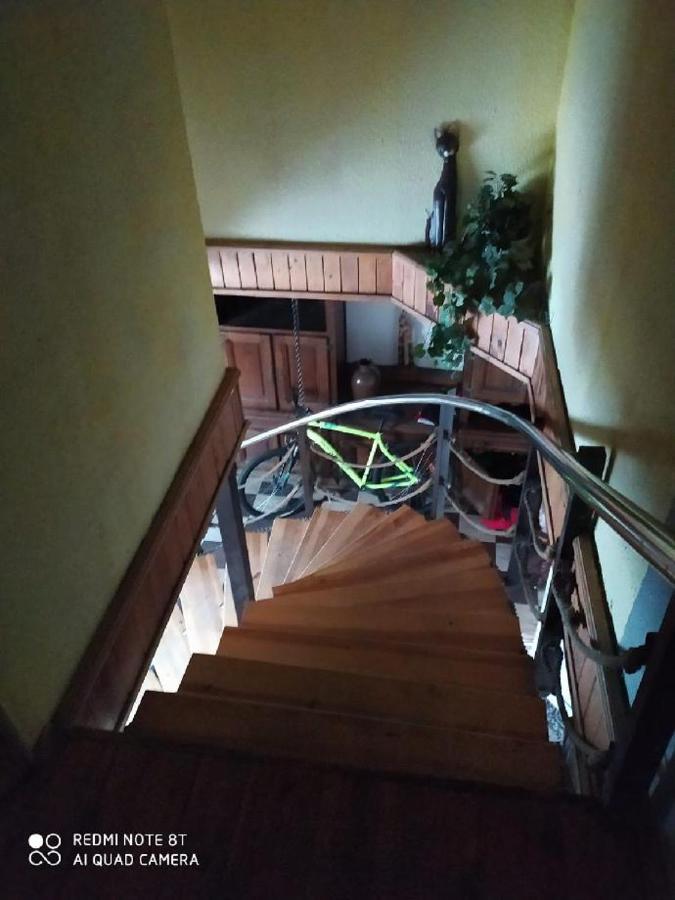 Penzion U Lipy Decin Bagian luar foto