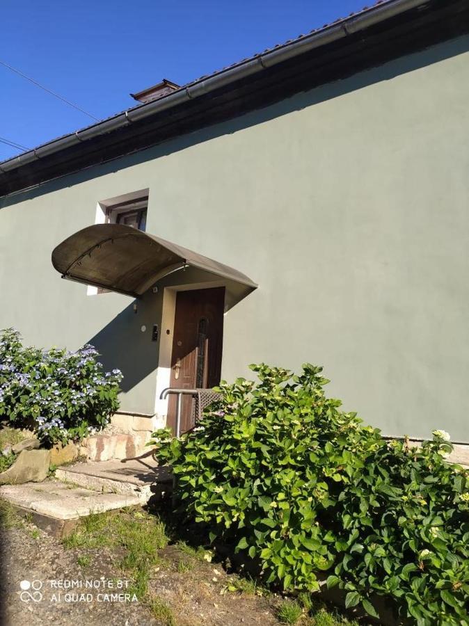 Penzion U Lipy Decin Bagian luar foto